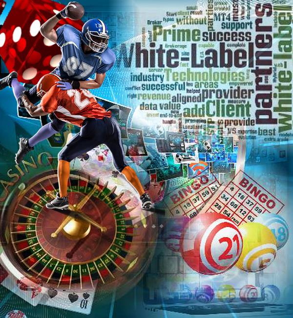iGaming White Label Platforms