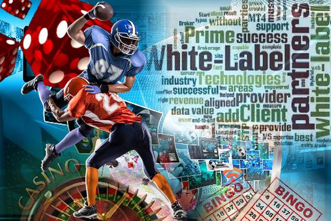 iGaming White Label Platforms
