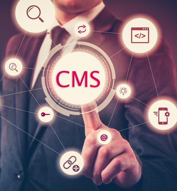 Website Content Management Systems