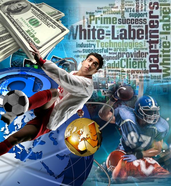 White Label Fantasy Sports Games Solutions
