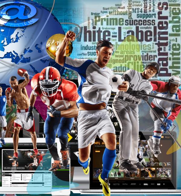 White Label Sportsbook Sports Betting Solutions