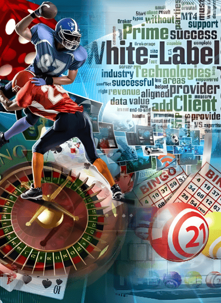 iGaming White Label Casino and Sportsbook Solutions