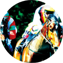 Horse Racing Betting